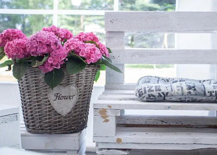 شاليه Nowa Siesta Camp Leba Nowecin